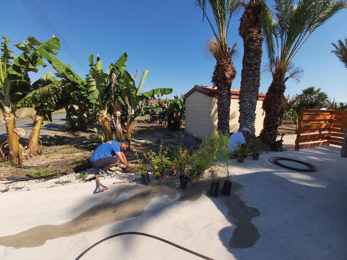 Apartment Palm Tree Apts *