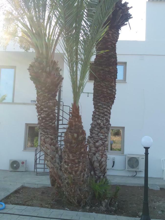 Palm Tree Apts Argaka