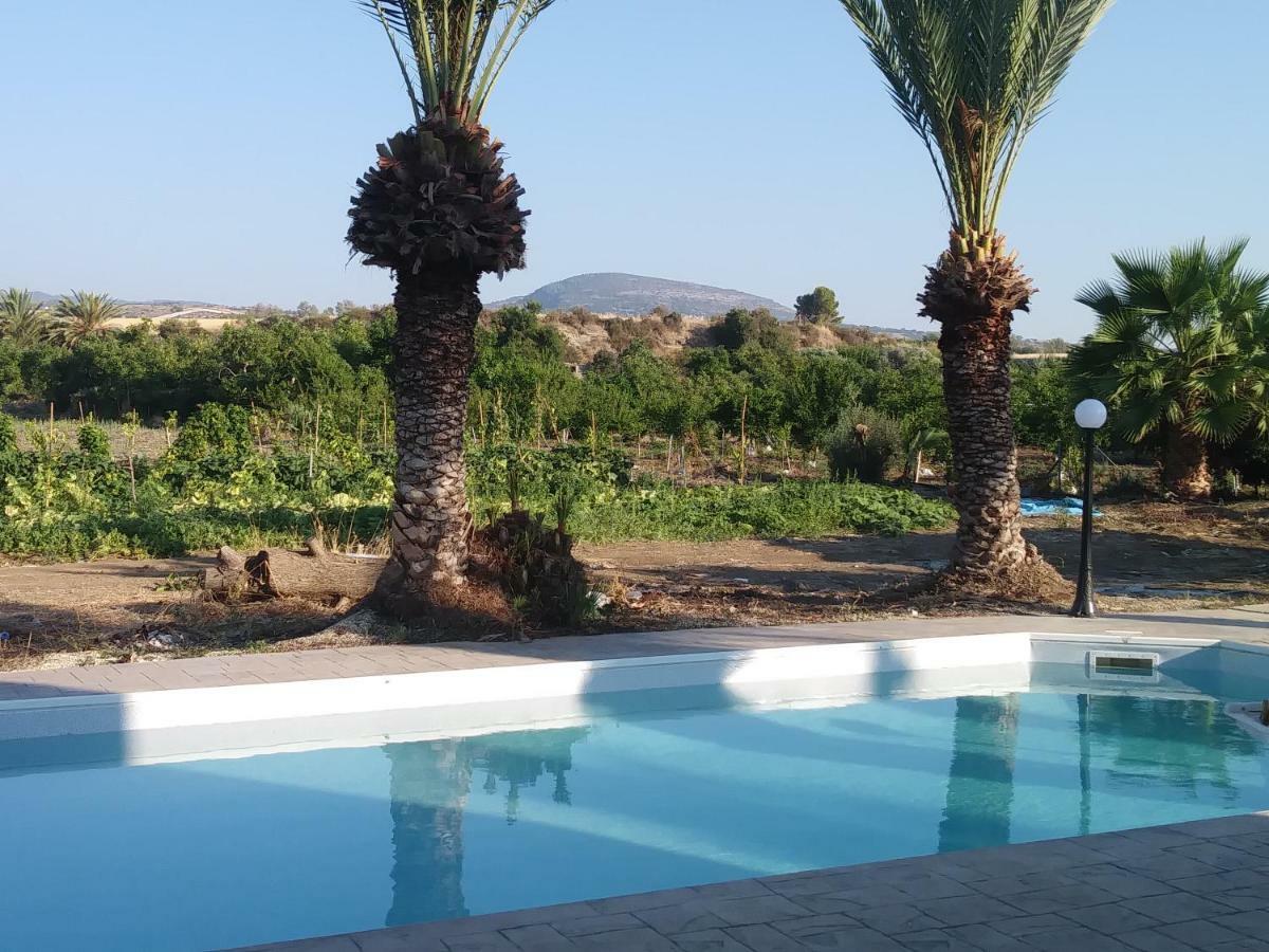 Palm Tree Apts Διαμέρισμα Αργάκα