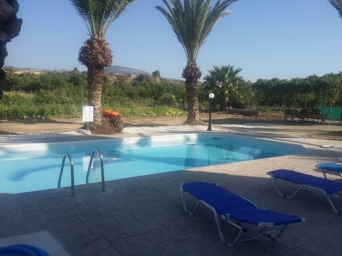 Palm Tree Apts * Αργάκα