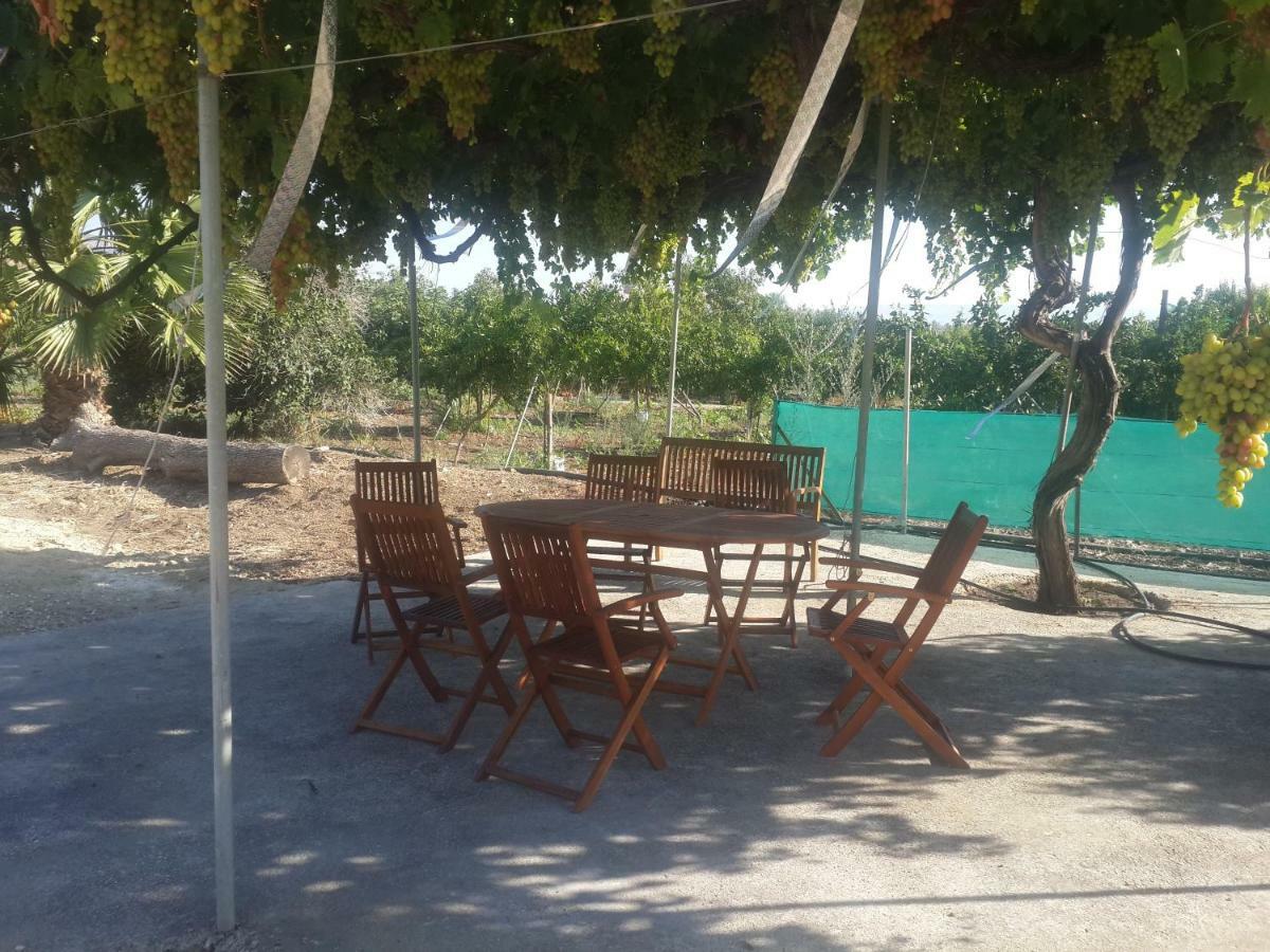 Διαμέρισμα Palm Tree Apts Αργάκα